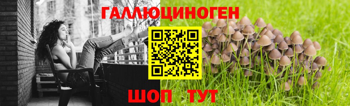 Галлюциногенные грибы MAGIC MUSHROOMS Сафоново